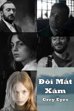 Đôi Mắt Xám (2018)