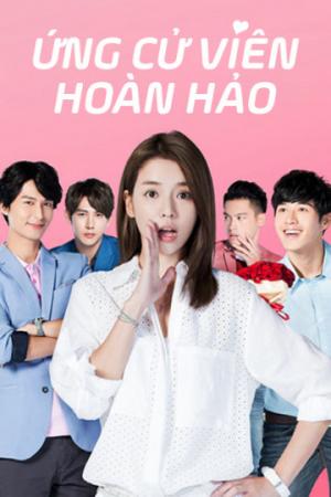 Ứng Cử Viên Hoàn Hảo (2017)