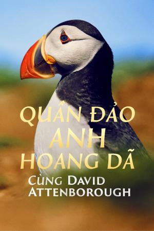 Quần Đảo Anh Hoang Dã (2023)