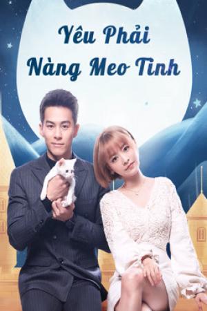 Yêu Phải Nàng Meo Tinh (2020)