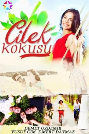 Cilek Kokusu (2015)