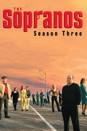 Gia Đình Sopranos (Phần 3) (2001)