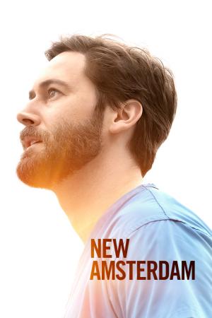 New Amsterdam (Phần 2) (2019)