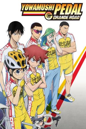 Yowamushi Pedal SPECIAL RIDE (2013)