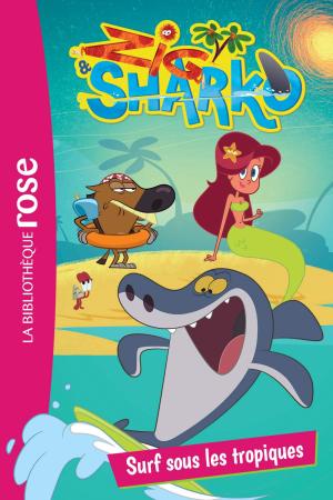 Zig và Sharko (Mùa 3) (2010)