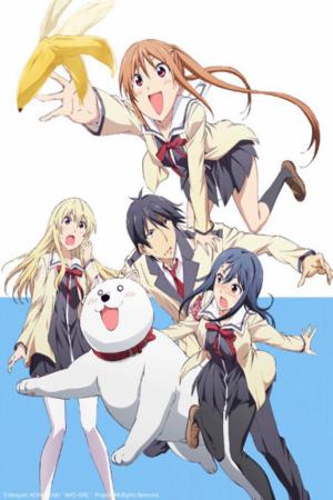 Cô Nàng Ngốc - Aho Girl (2017)