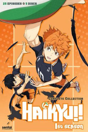 Haikyu - Chàng khổng lồ tí hon (Phần 1) (2015)