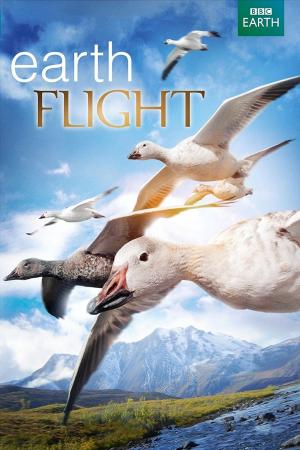 Earthflight (2011)