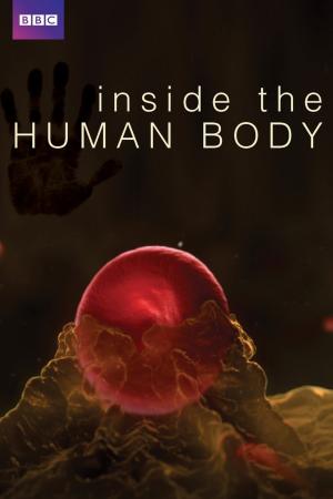 Inside the Human Body (2011)