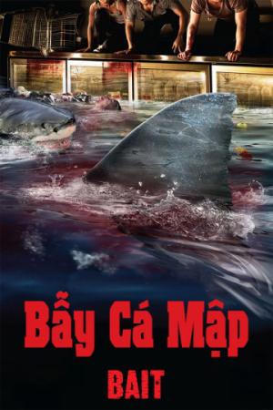 Bẫy Cá Mập (2013)