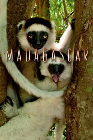 Madagascar 2011 (2011)