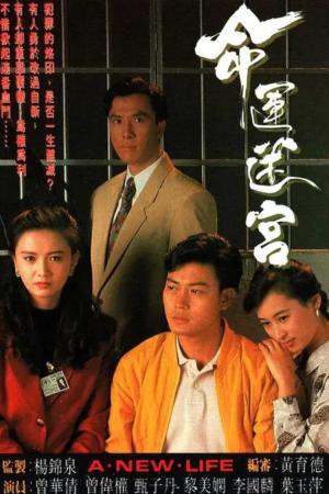 Vận Mệnh Mê Cung (1991)