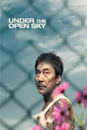 Under The Open Sky (2020)