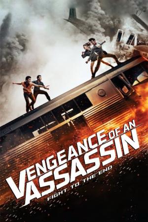 Vengeance of an Assassin (2014)